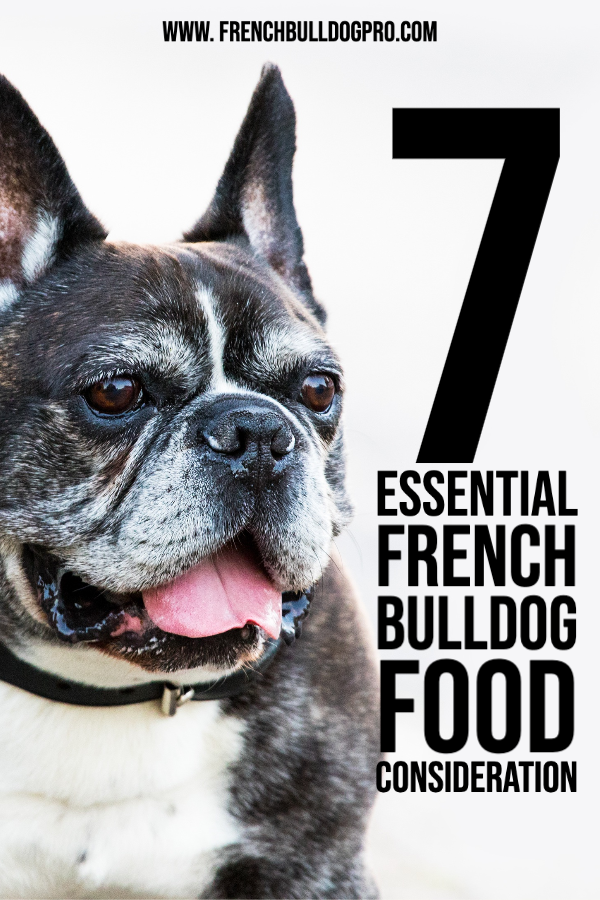 french bulldog food