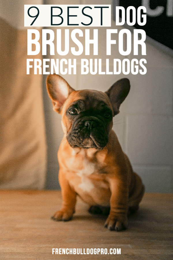 best grooming brush for french bulldog