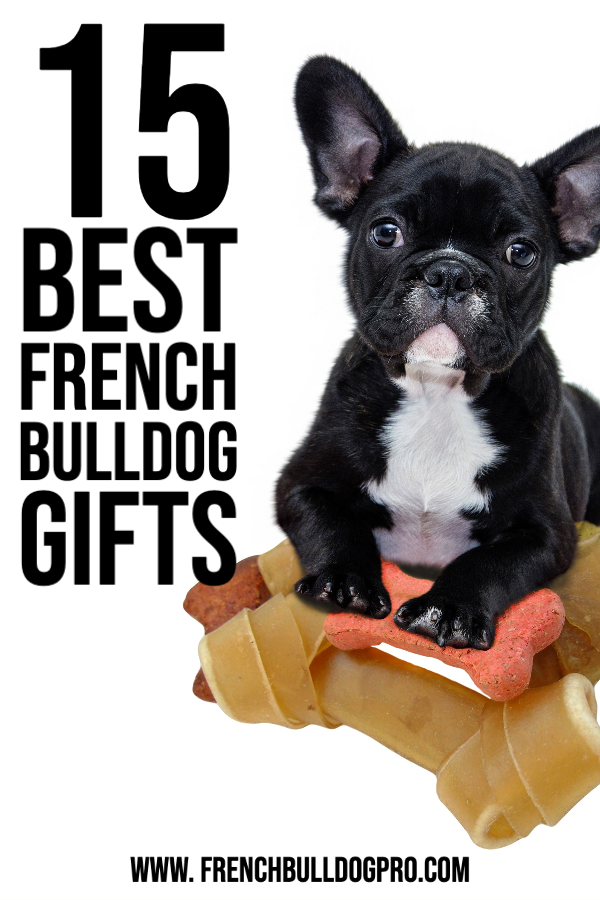 Best French Bulldog Gifts